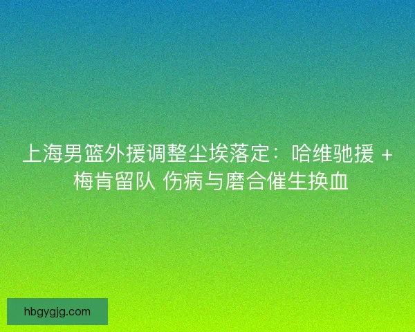 上海男篮外援调整尘埃落定：哈维驰援 + 梅肯留队 伤病与磨合催生换血