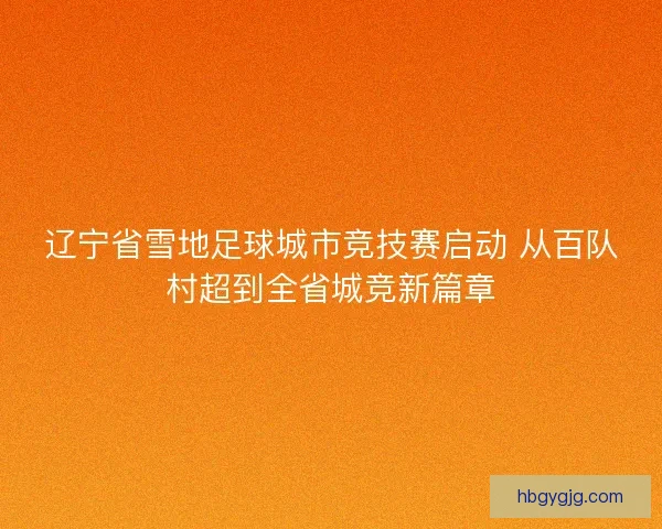 辽宁省雪地足球城市竞技赛启动 从百队村超到全省城竞新篇章